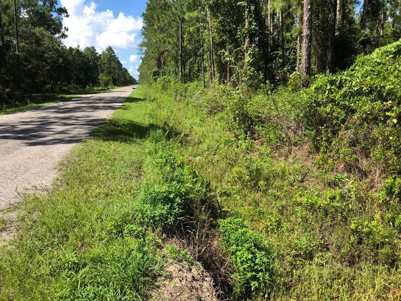 10060 Dillon Ave, Hastings, FL 32145