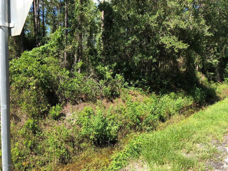 10060 Dillon Ave, Hastings, FL 32145