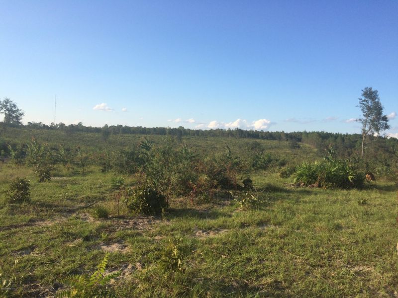 1009 Bellamy Rd, Melrose, FL 32666