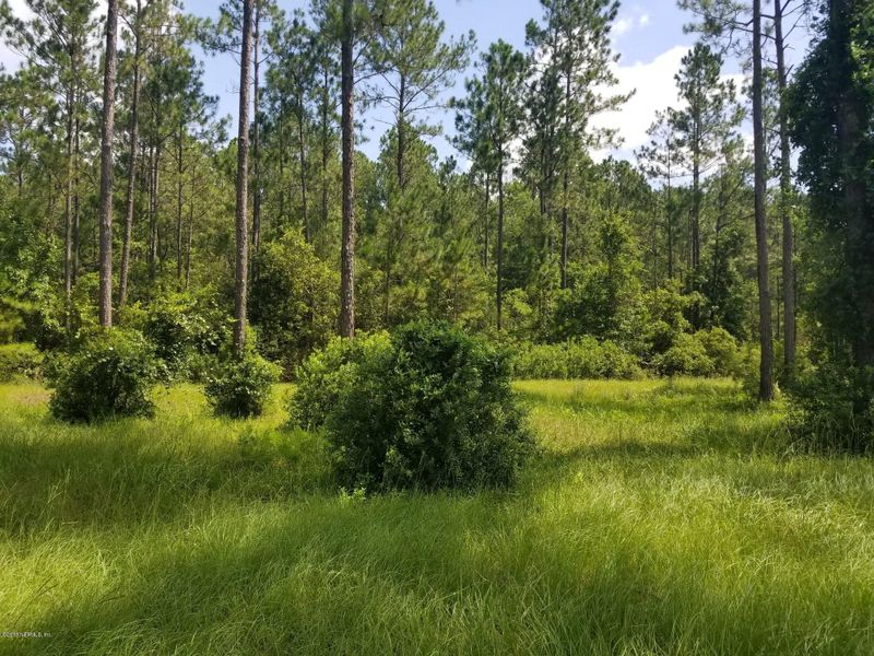 10117 Breakaway Ct, Jacksonville, FL 32219