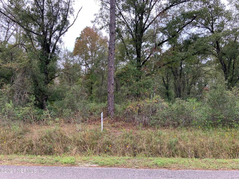 10125 Turpin Ave, Hastings, FL 32145
