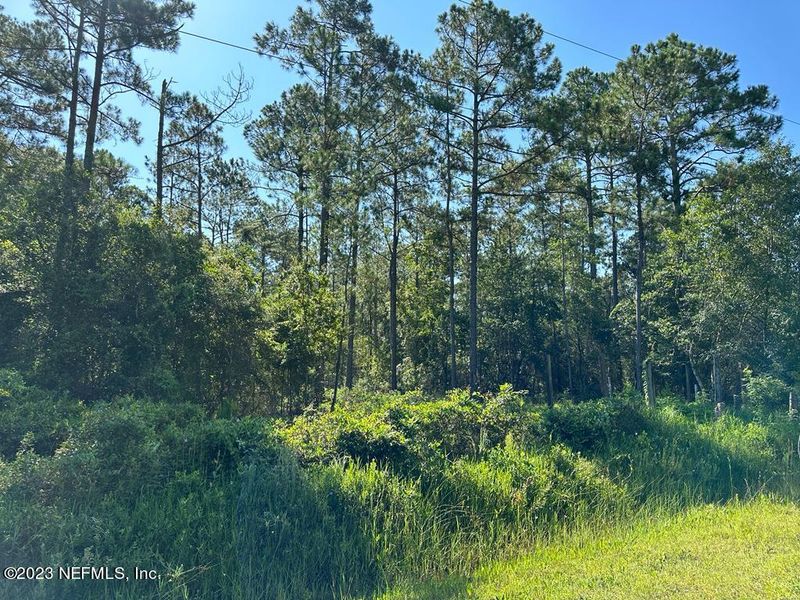 10130 Delgado Ave, Hastings, FL 32145