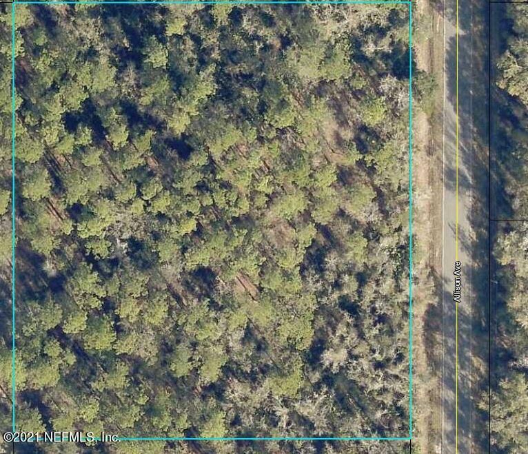 10135 Allison Ave, Hastings, FL 32145