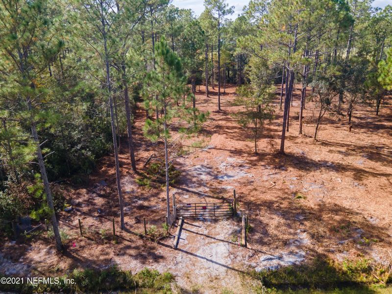 10145 Hennessey Ave, Hastings, FL 32145
