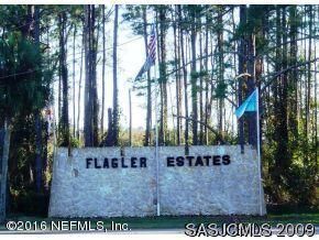 10160 Zigler Ave, Hastings, FL 32145