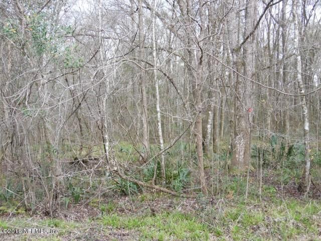 10160 Zigler Ave, Hastings, FL 32145