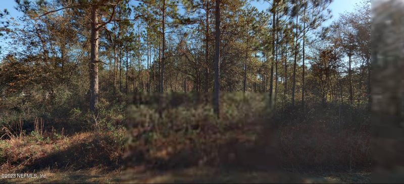 10230 Carpenter Ave, Hastings, FL 32145