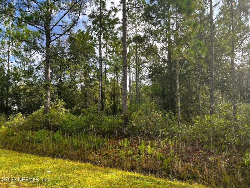 10230 Carpenter Ave, Hastings, FL 32145