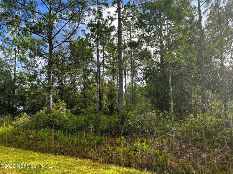 10230 Carpenter Ave, Hastings, FL 32145