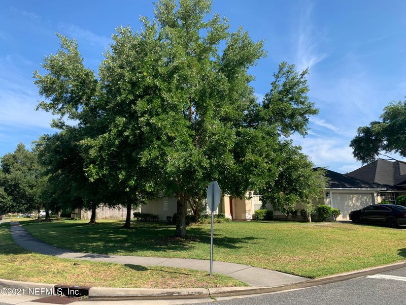 1024 Drakefeather Dr, Orange Park, FL 32065