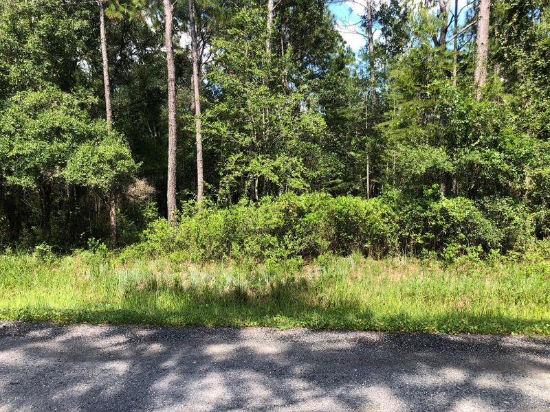 10310 Nikolich Ave, Hastings, FL 32145