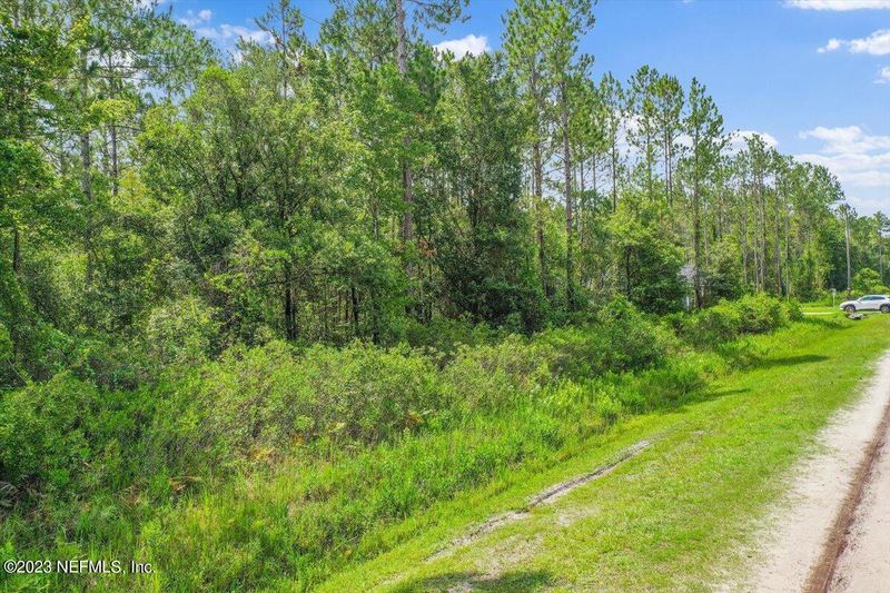 10320 Gregory Ave, Hastings, FL 32145