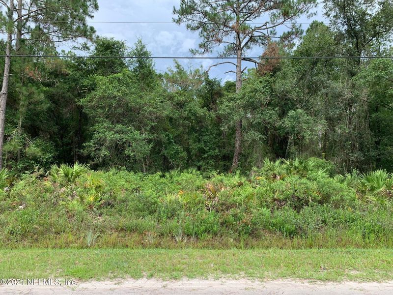 10420 Beckenger Ave, Hastings, FL 32145