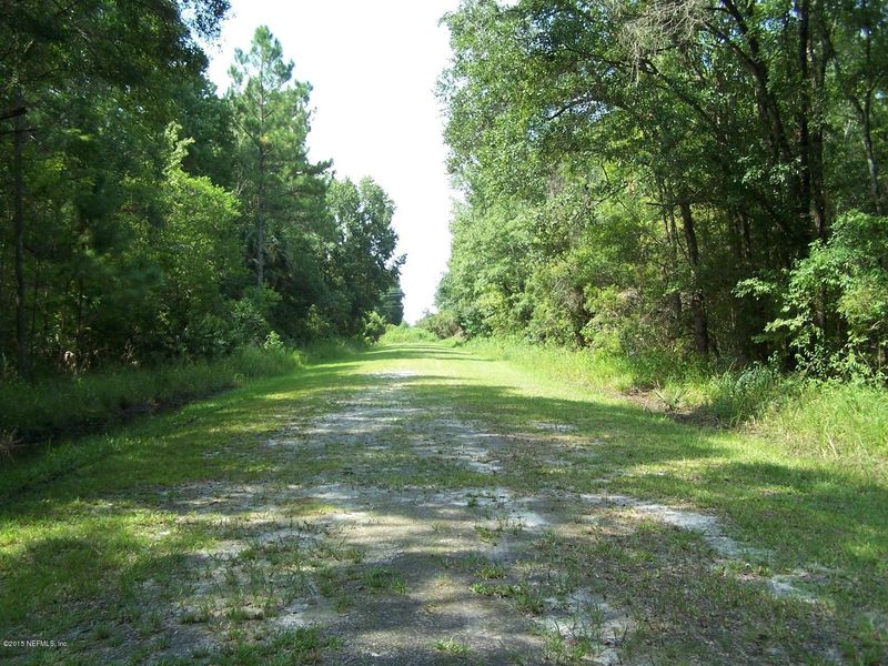 10445 Weatherby Ave, Hastings, FL 32145