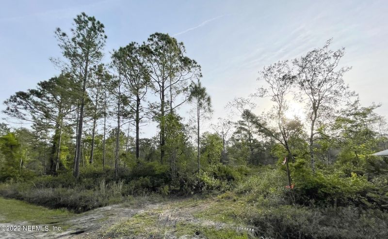 10450 Delgado Ave, Hastings, FL 32145