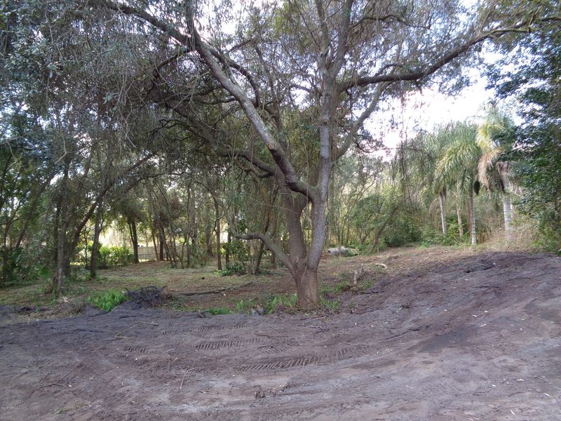 1048 Buddy Crout Ln, Neptune Beach, FL 32266