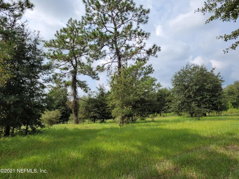 1050 Live Oak Ln, Middleburg, FL 32068