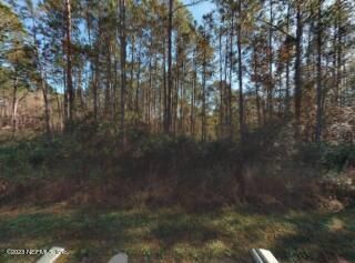 10500 Carpenter Ave, Hastings, FL 32145