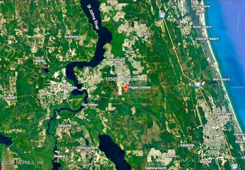 10505 Carpenter Ave, Hastings, FL 32145
