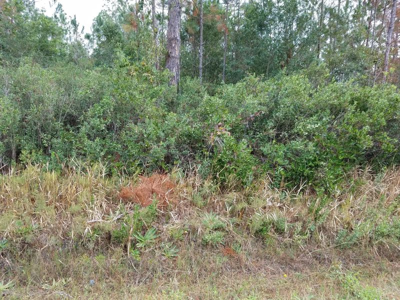 10540 Baylor Ave, Hastings, FL 32145