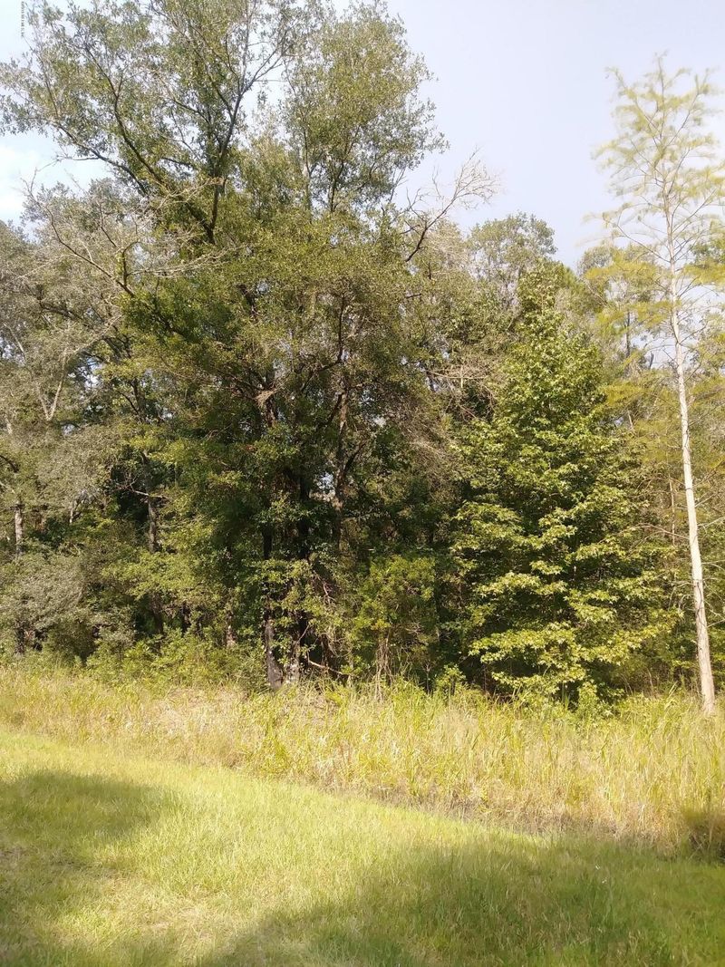 10540 Weatherby Ave, Hastings, FL 32145