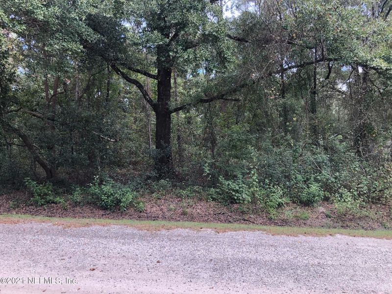 10650 Dillon Ave, Hastings, FL 32145