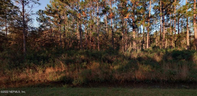 10675 Zigler Ave, Hastings, FL 32145