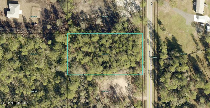 10675 Zigler Ave, Hastings, FL 32145