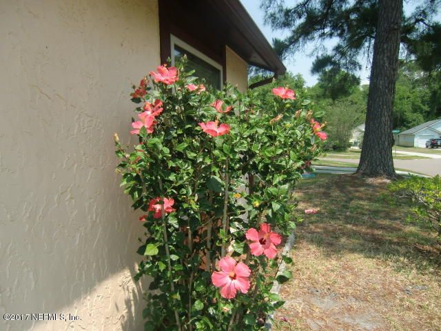 10711 Meadowlea Dr, Jacksonville, FL 32218