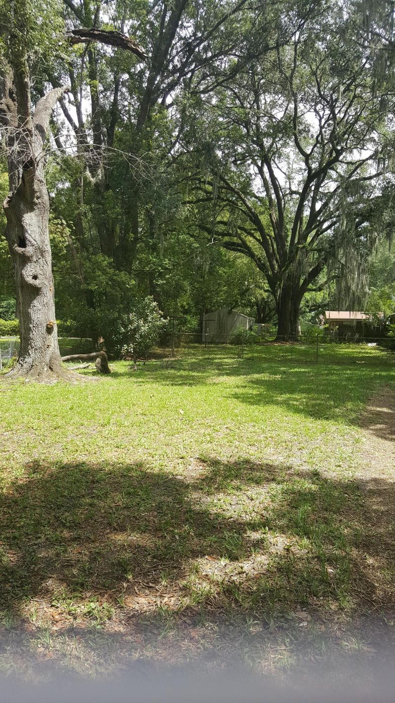 10712 Arnez Rd, Jacksonville, FL 32218