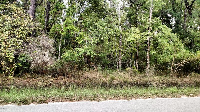 10720 Isaacson Ave, Hastings, FL 32145