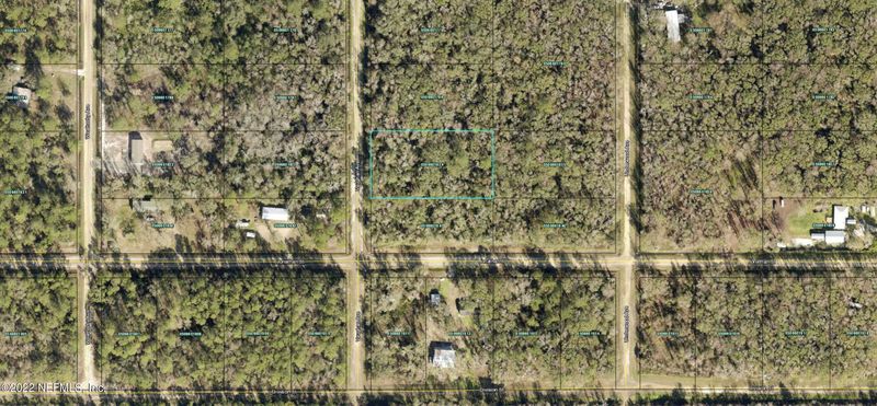 10720 Vaughan Ave, Hastings, FL 32145