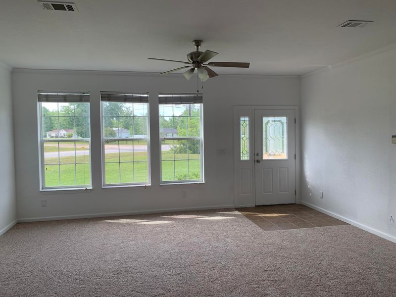 111 Mandrake St, Middleburg, FL 32068