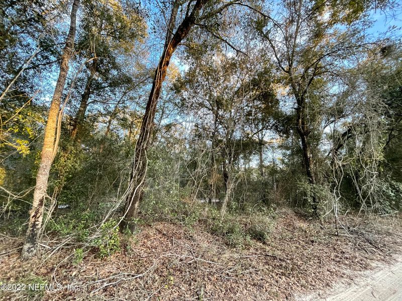 112 Bush St, Melrose, FL 32666