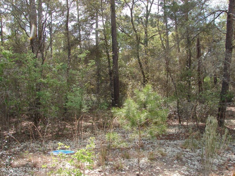115 Mandarin Lake Rd, Melrose, FL 32666