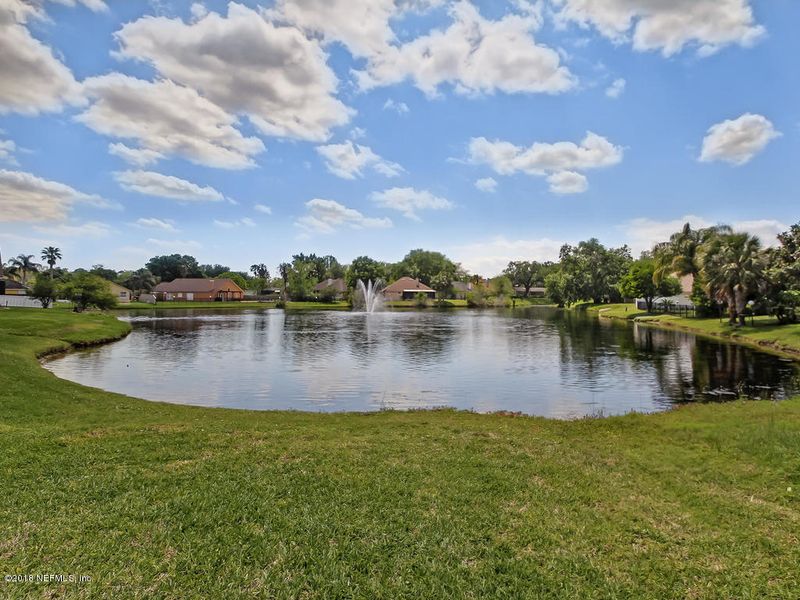 11536 Alexis Forest Dr, Jacksonville, FL 32258