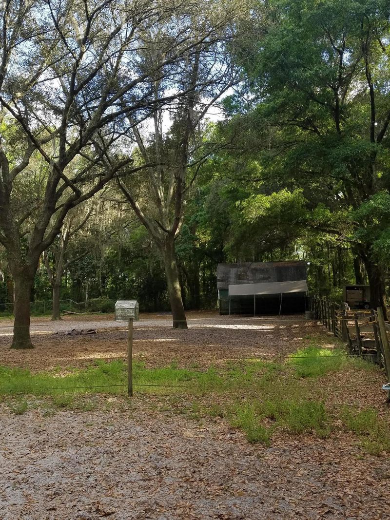 11561 Alta Dr, Jacksonville, FL 32226