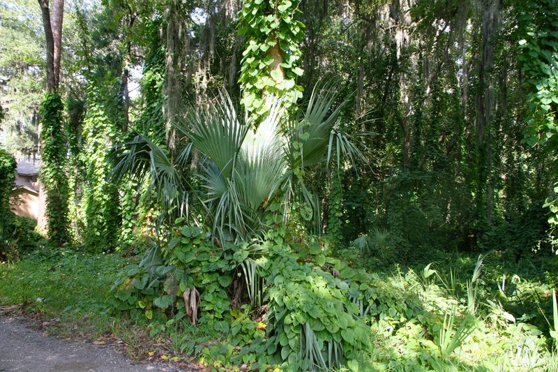 11717 Mina Rd, Jacksonville, FL 32223