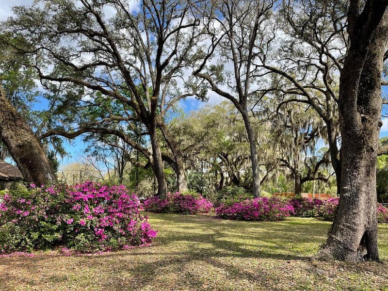 1203 Fruit Cove Ter N, St Johns, FL 32259