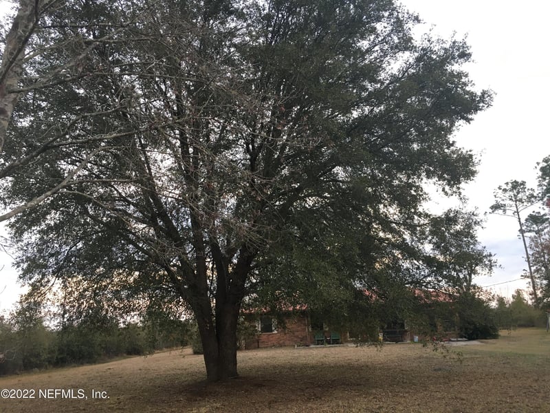 12058 Dr Whatapepsi Ln, Bryceville, FL 32009