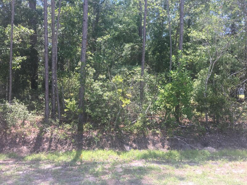1206 Marlee Rd, St Johns, FL 32259