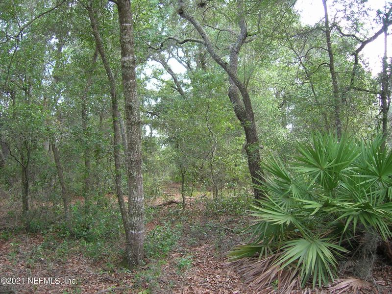 124 Tijuana Trl, Melrose, FL 32666