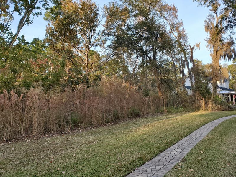 12575 Brady Rd, Jacksonville, FL 32223