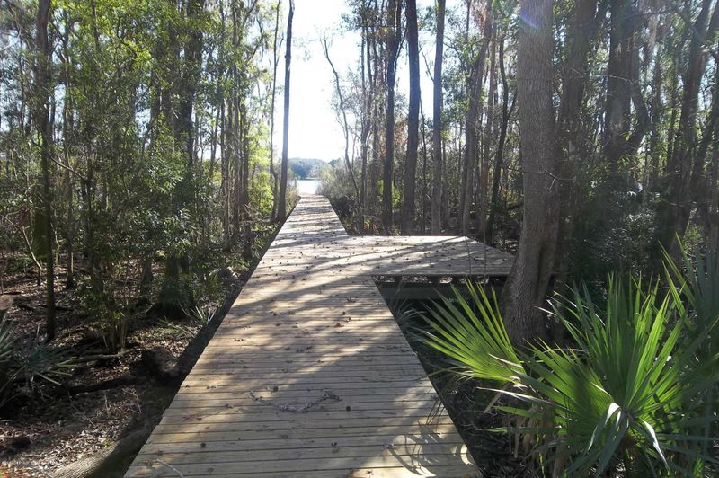 12794 Burning Tree Ln W, Jacksonville, FL 32223
