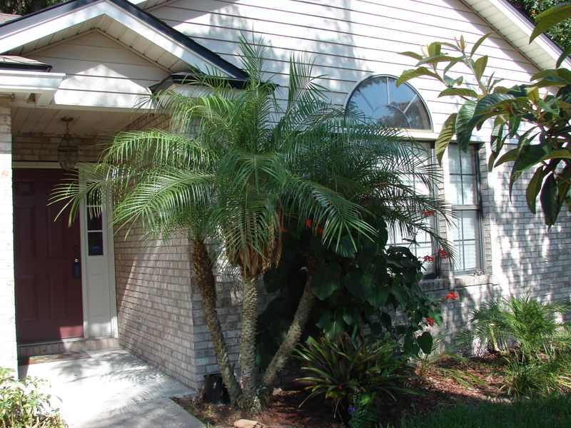 1281 Soaring Flight Way, Jacksonville, FL 32225