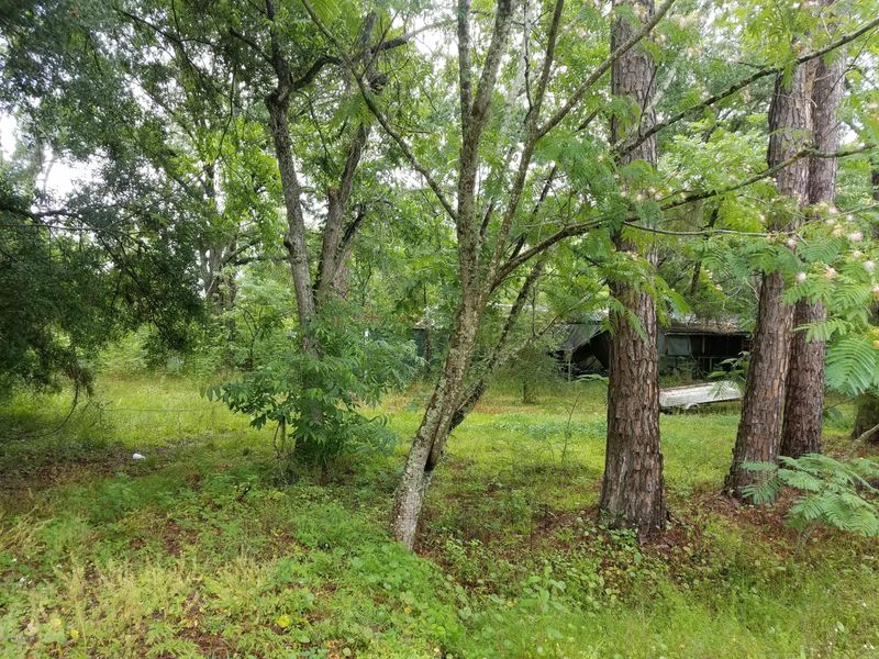 12999 SE 21st Ave, Starke, FL 32091