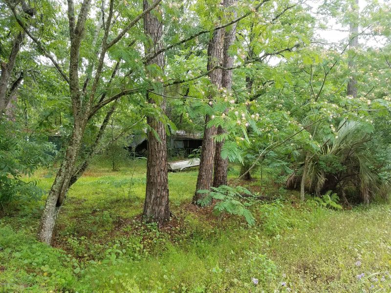 12999 SE 21st Ave, Starke, FL 32091