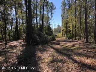 133 Wild Orchid Ln, Orange Park, FL 32065