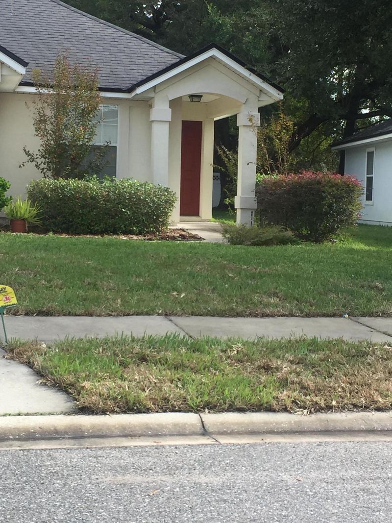 1400 Bitterberry Dr, Orange Park, FL 32065
