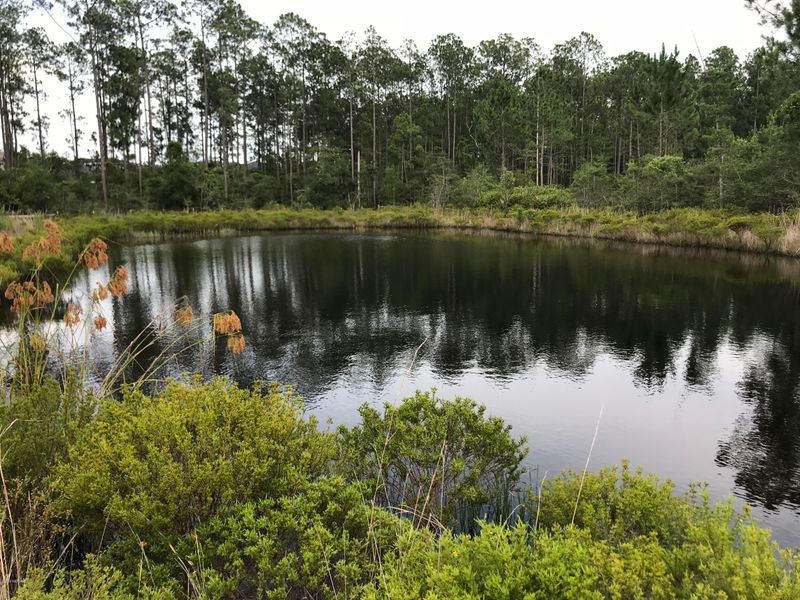 1428 Roberts Rd, St Johns, FL 32259